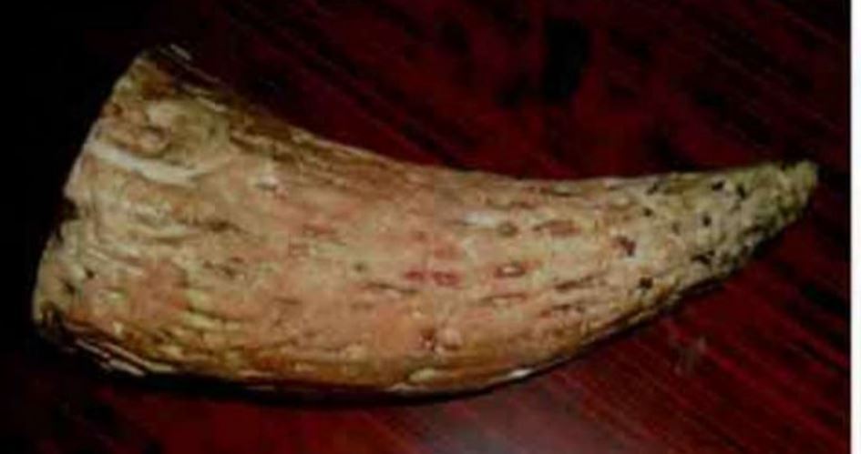 निकुञ्जद्वारा नौ तस्करी मुद्दाका आरोपी सार्वजनिक